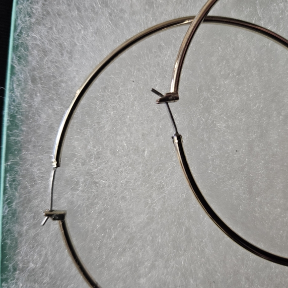 Betsey Johnson Large Owl Hoop Earrings - Picture 3 of 4